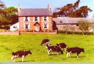 Tyddyn Chambers B&B,  Ruthin